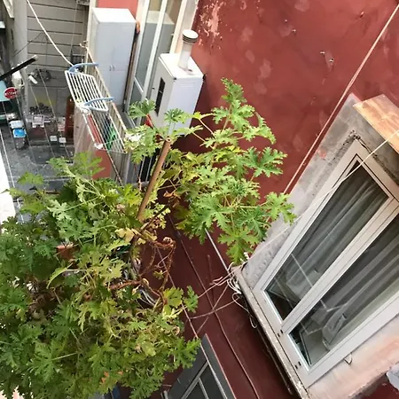 게스트하우스 Cisterna's House