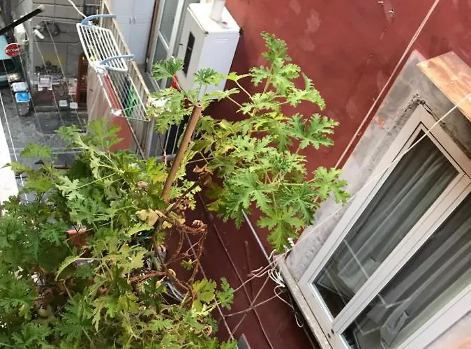 게스트하우스 Cisterna's House